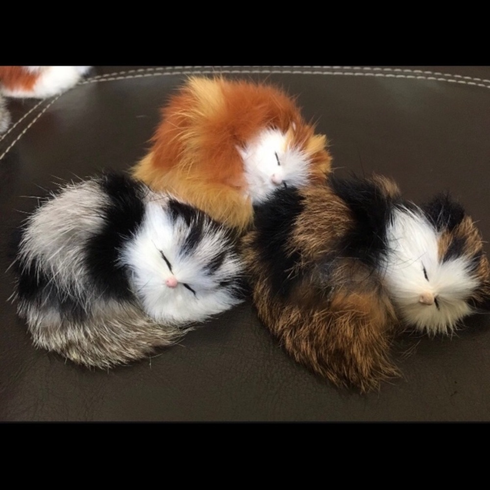 Cat collection - Picture 2 of 7